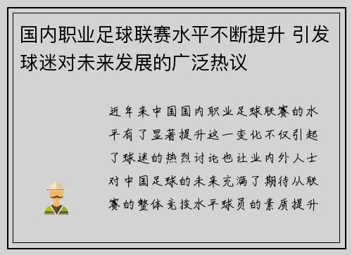国内职业足球联赛水平不断提升 引发球迷对未来发展的广泛热议