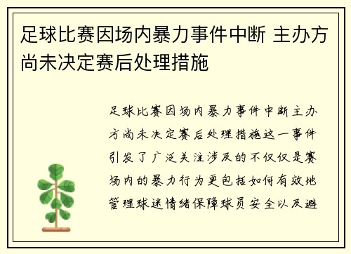 足球比赛因场内暴力事件中断 主办方尚未决定赛后处理措施