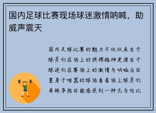国内足球比赛现场球迷激情呐喊，助威声震天
