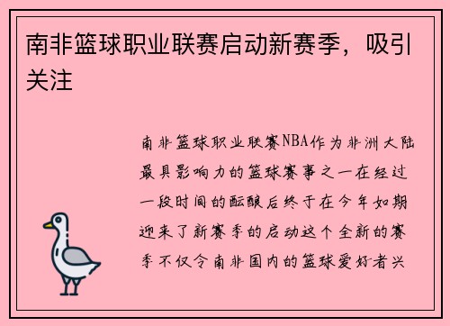 南非篮球职业联赛启动新赛季，吸引关注