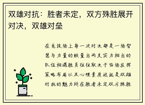 双雄对抗：胜者未定，双方殊胜展开对决，双雄对垒